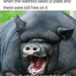 FB_IMG_1688504933933.jpg